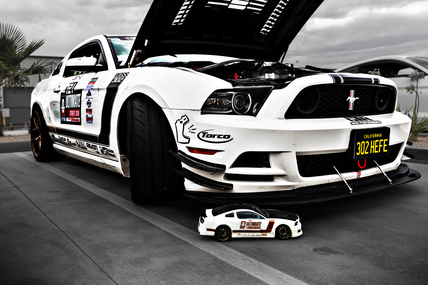 Car Enthusiast Session — 10 Edited Digital Photos + 11 x 17